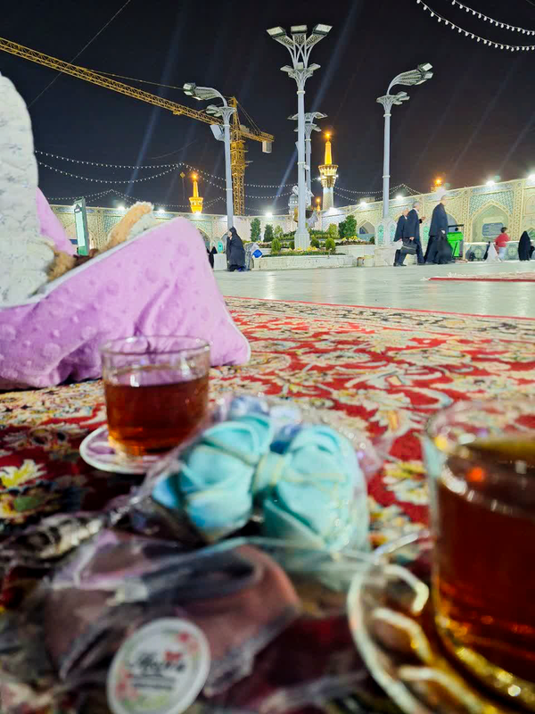 زائر امام رضا