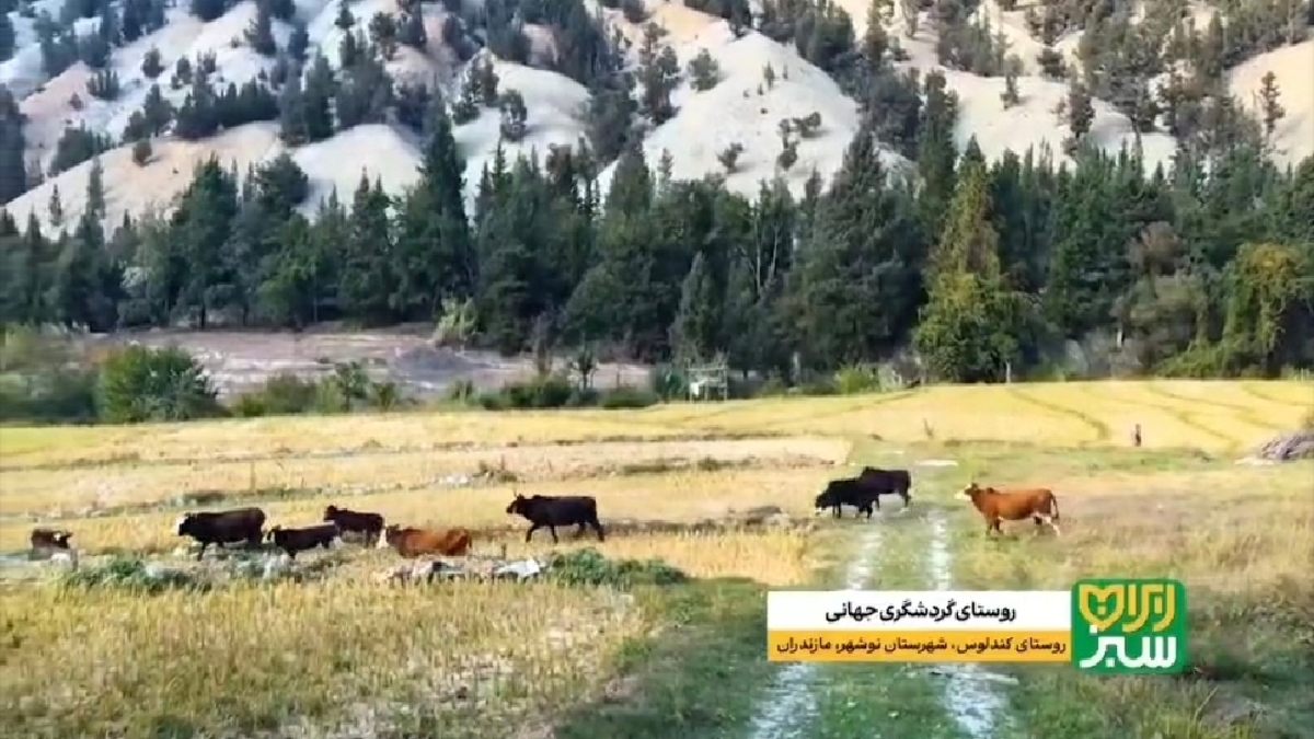 روستای پاده؛ نماد تاریخ کهن ایران زمین در دل کویر + فیلم
