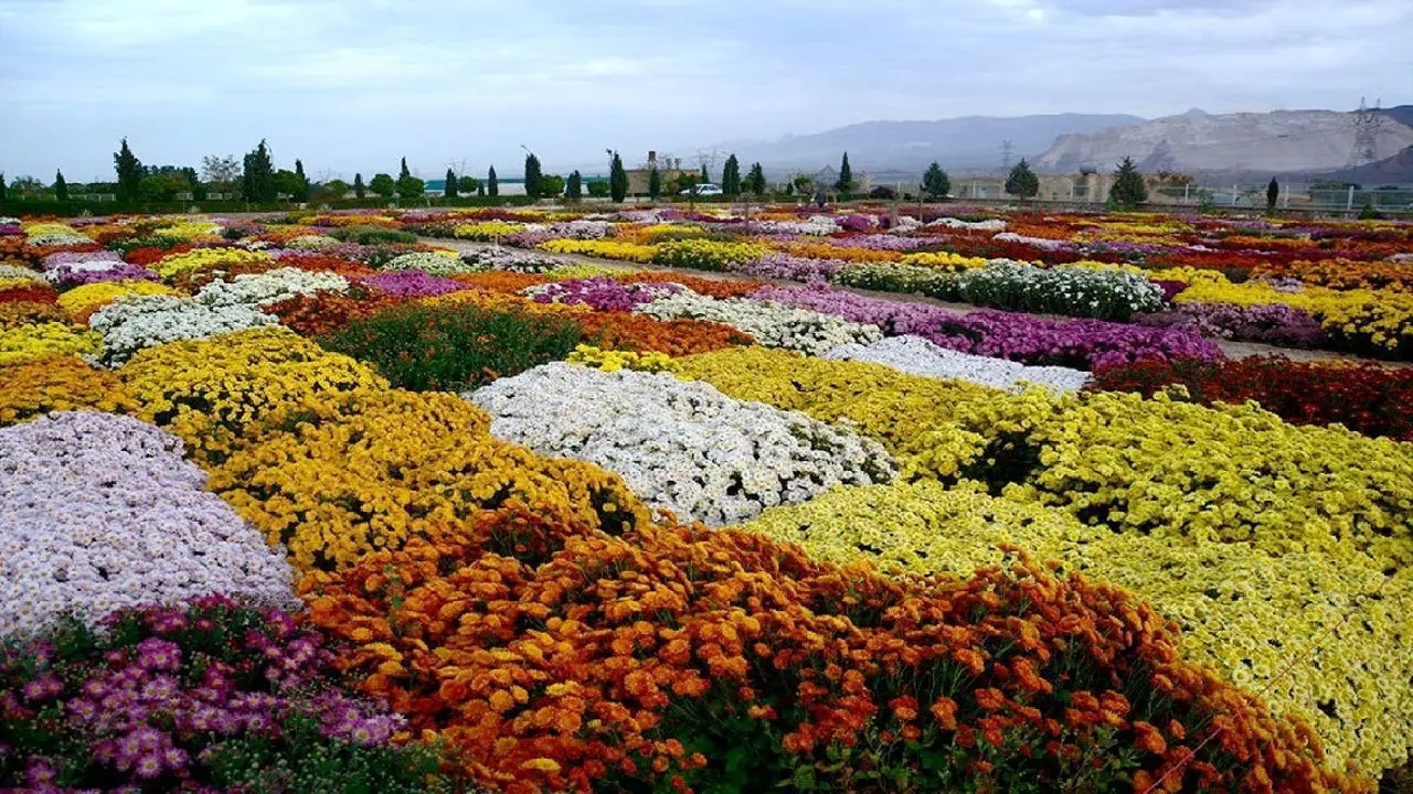 باغ گیاه‌شناسی زاگرس خرم آباد؛ بزرگ‌ترین ذخیره‌گاه ژنتیکی کشور نیازمند بودجه ملی