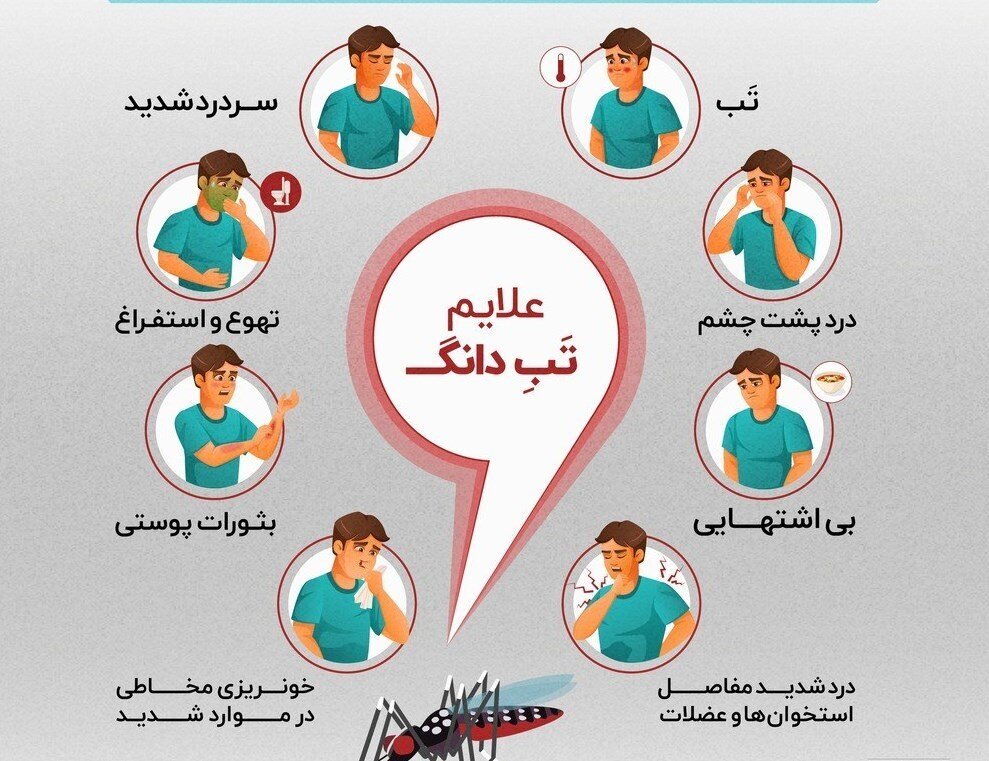کرمان در آستانه تهدید زیستی؛ پشه آئدس در جیرفت مشاهده شد کرمان در آستانه تهدید زیستی؛ پشه آئدس در جیرفت مشاهده شد