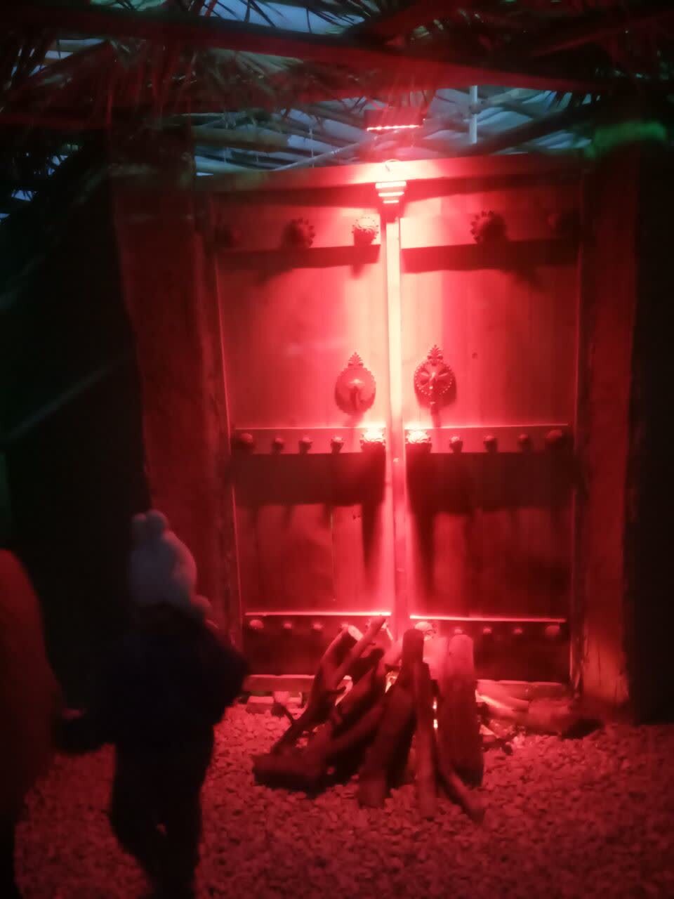 برگزاری نمایشگاه