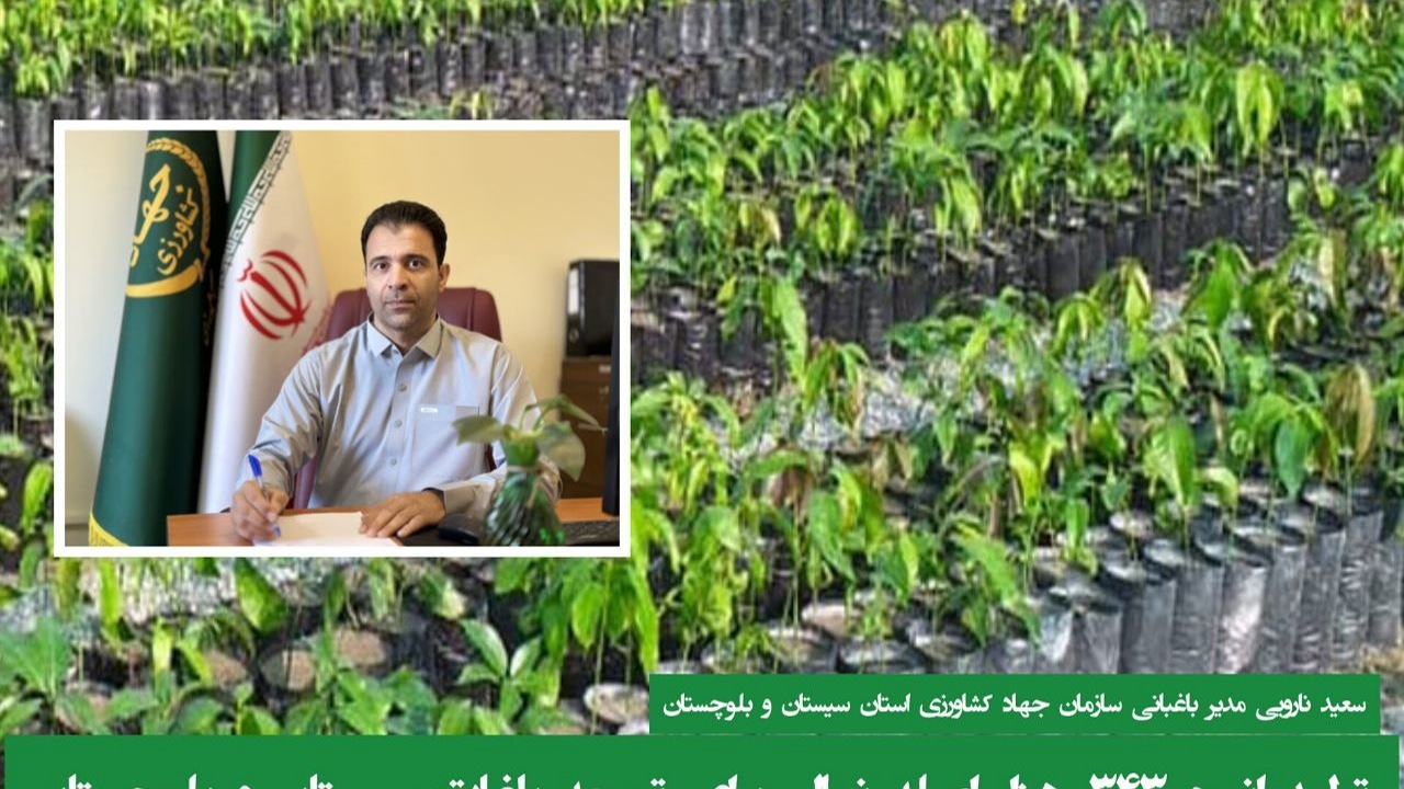 تولید انبوه ۳۴۳ هزار اصله نهال برای توسعه باغات سیستان و بلوچستان