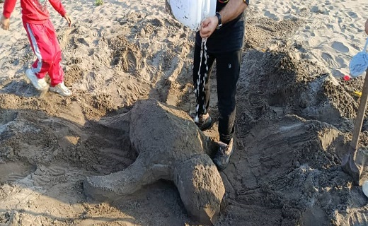 جشنواره مجسمه&zwnj;های شنی با موضوع فک خزری
