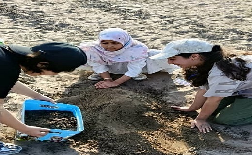 جشنواره مجسمه&zwnj;های شنی با موضوع فک خزری