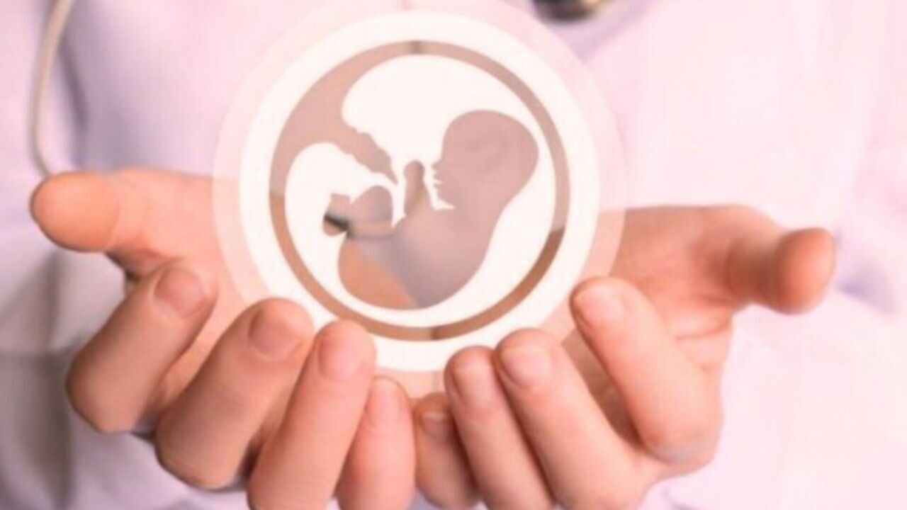 نجات از سقط ۷۲ نوزاد قمی
