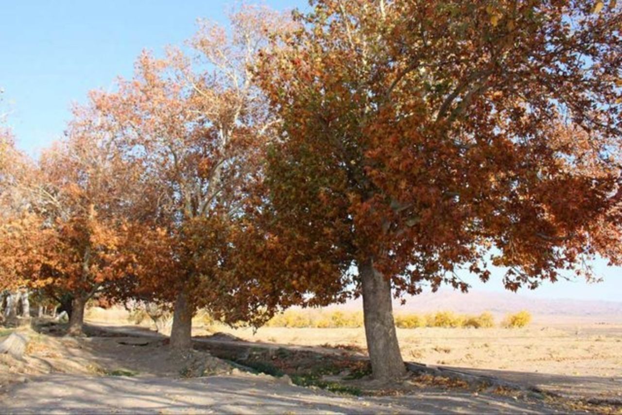 پاییز خشک‌تر از تابستان/ بارش‌ها در تهران به کمتر از یک میلی‌متر رسید
