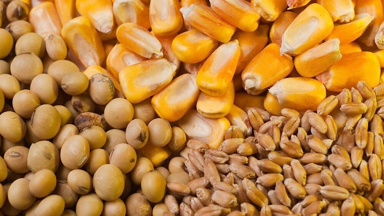 پشتیبانی امور دام تولید را معطل تامین نهاده نمی‌گذارد