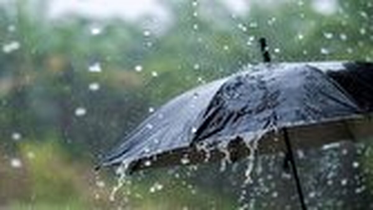 باشگاه خبرنگاران -پاییز بدون باران در البرز