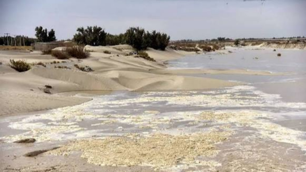 مطالعات دانشگاه زابل مبنای تدوین مدل اجرایی کنترل ریزگرد‌های تالاب هامون قرار می‌گیرد