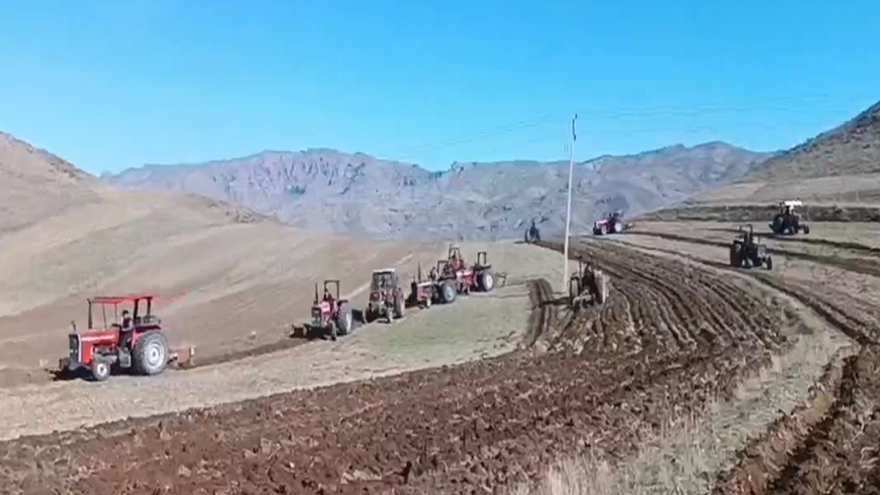 اجرای طرح مبارزه با جوندگان مضر کشاورزی در شهرستان هوراند