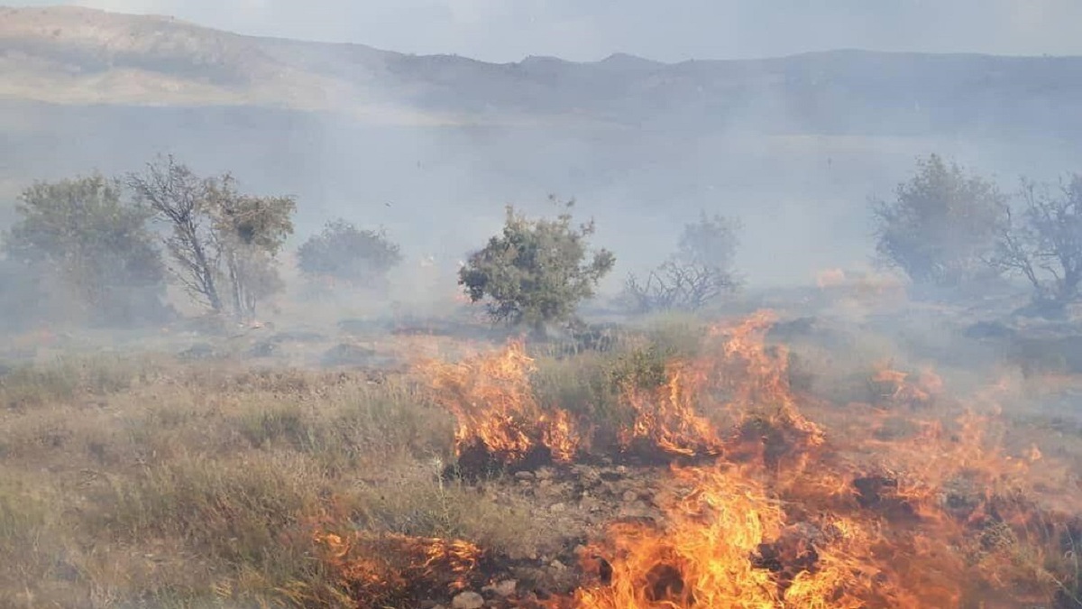 باشگاه خبرنگاران -آتش سوزی در مراتع جنگلی روستای نمنق جلفا