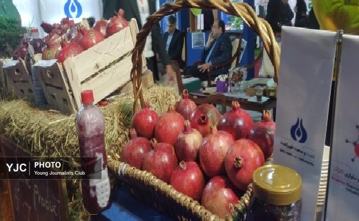 نمایشگاه &laquo;اگروفود&raquo; گیلان  به کار خود پایان داد + فیلم
