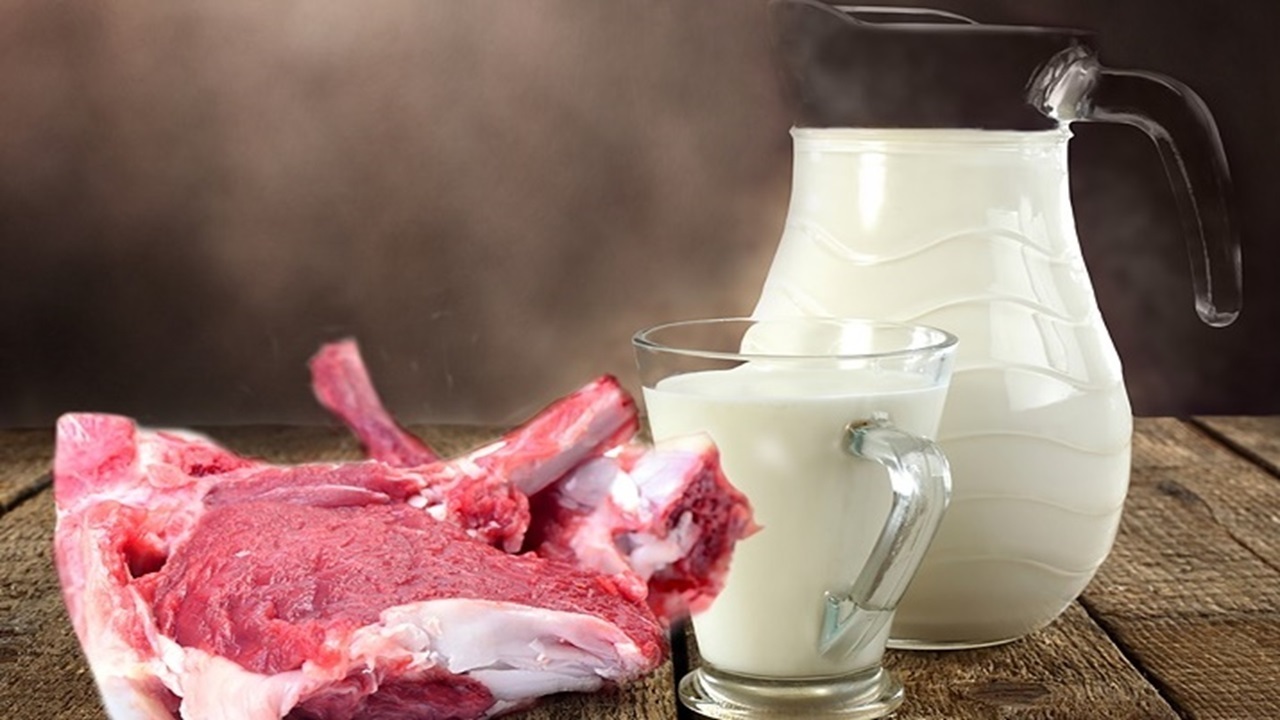 آیا «تب برفکی» از گوشت و شیر به انسان منتقل می‌شود؟
