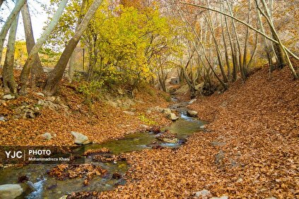 طبیعت پاییزی طارم در استان زنجان