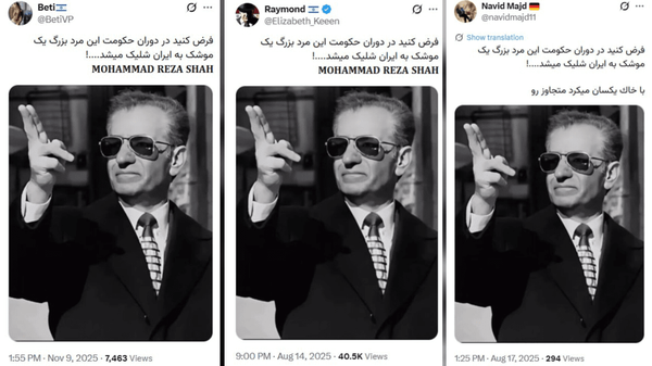 حمایت کاربران سلطنت طلب از محمدرضا پهلوی