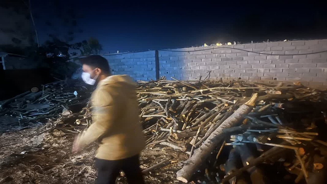 کشف ۹ تن چوب قاچاق از مراکز دپوی چوب در ساری و نکا