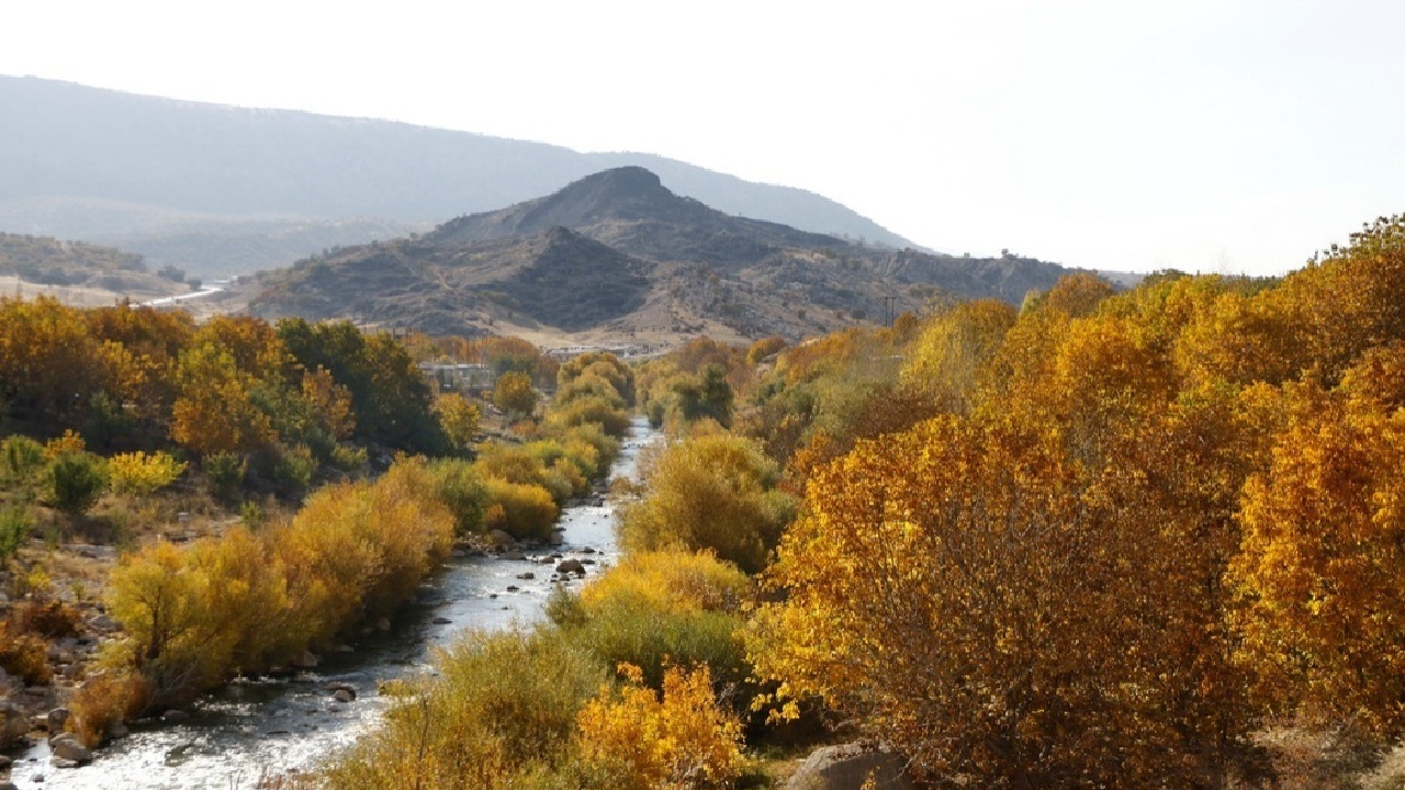 چشم‌انداز پاییزی بلوطستان‌های زیبای لرستان+تصاویر
