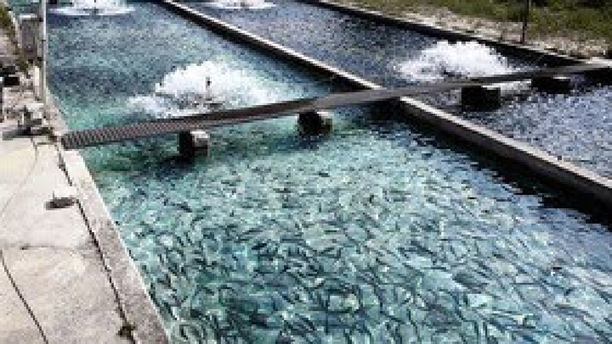 باشگاه خبرنگاران -افزایش ۲ برابری اعتبارات عمرانی خوزستان