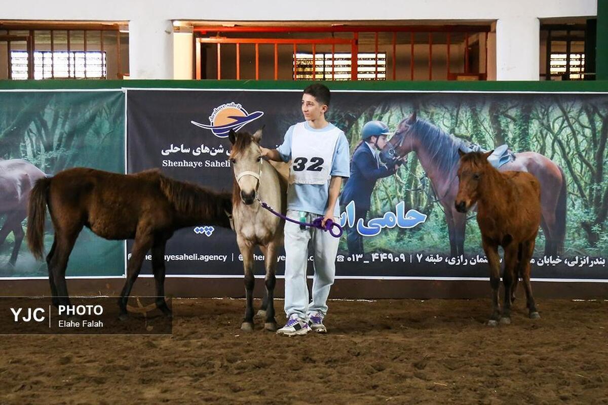 مسابقات سوارکاری همدان