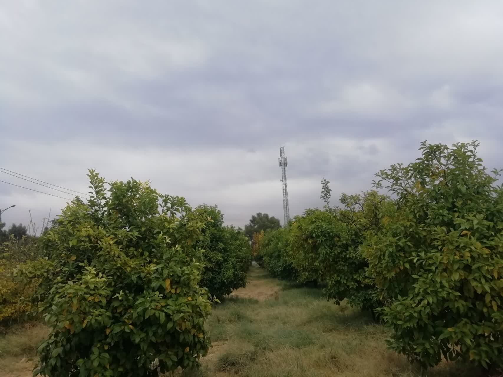 گزارش تصویری از اولین بارش رحمت الهی