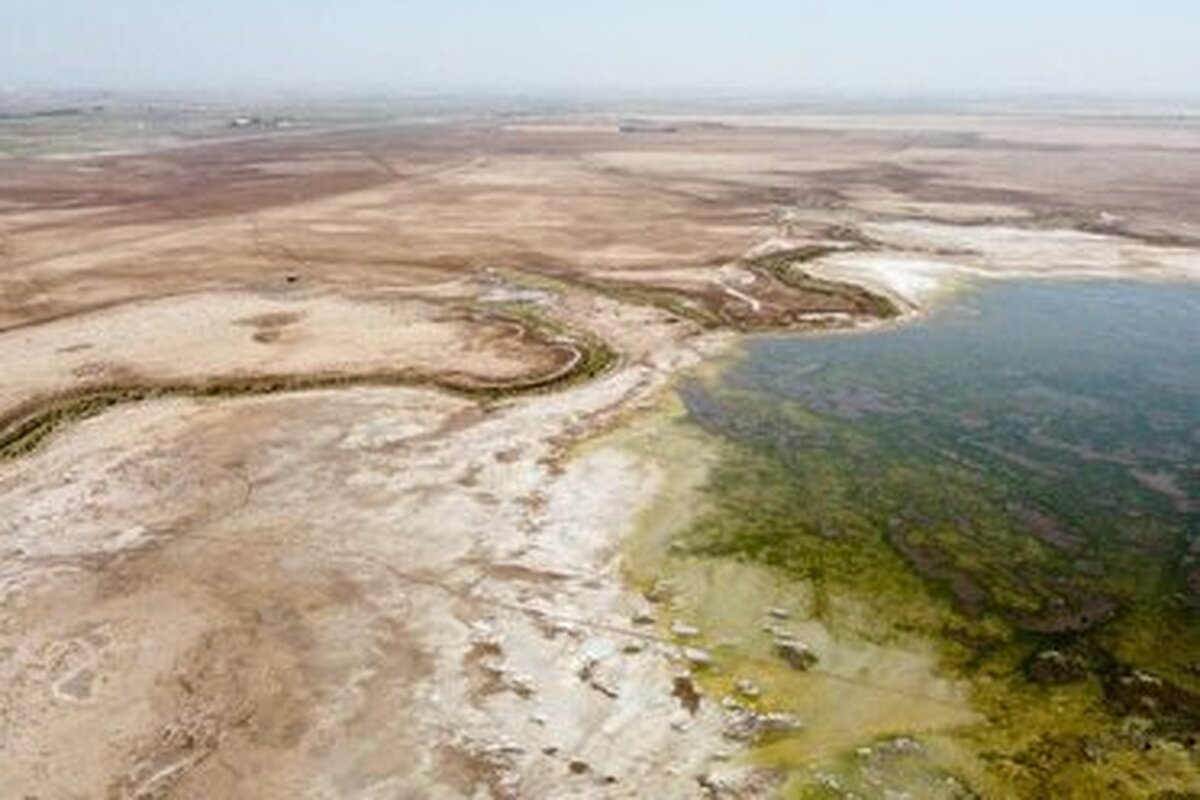 باشگاه خبرنگاران -تالاب صالحیه، از حیات سبز دیروز تا سرای گردوغبار امروز + فیلم