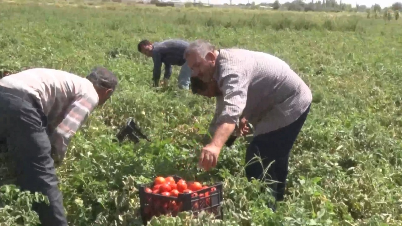 محدودیت منابع آبی و نبود امکان افزایش سطح زیر کشت