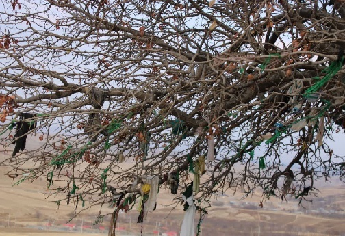 مقبره&zwnj;ای بر تپه&zwnj;ای باستانی؛ میراثی معنوی از هزاره اول در دل طبیعت لرستان