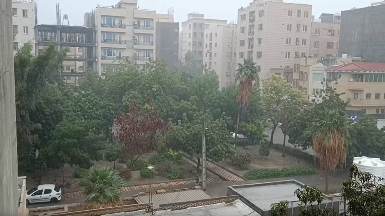بندرعباس با بارش باران جان دوباره گرفت + فیلم