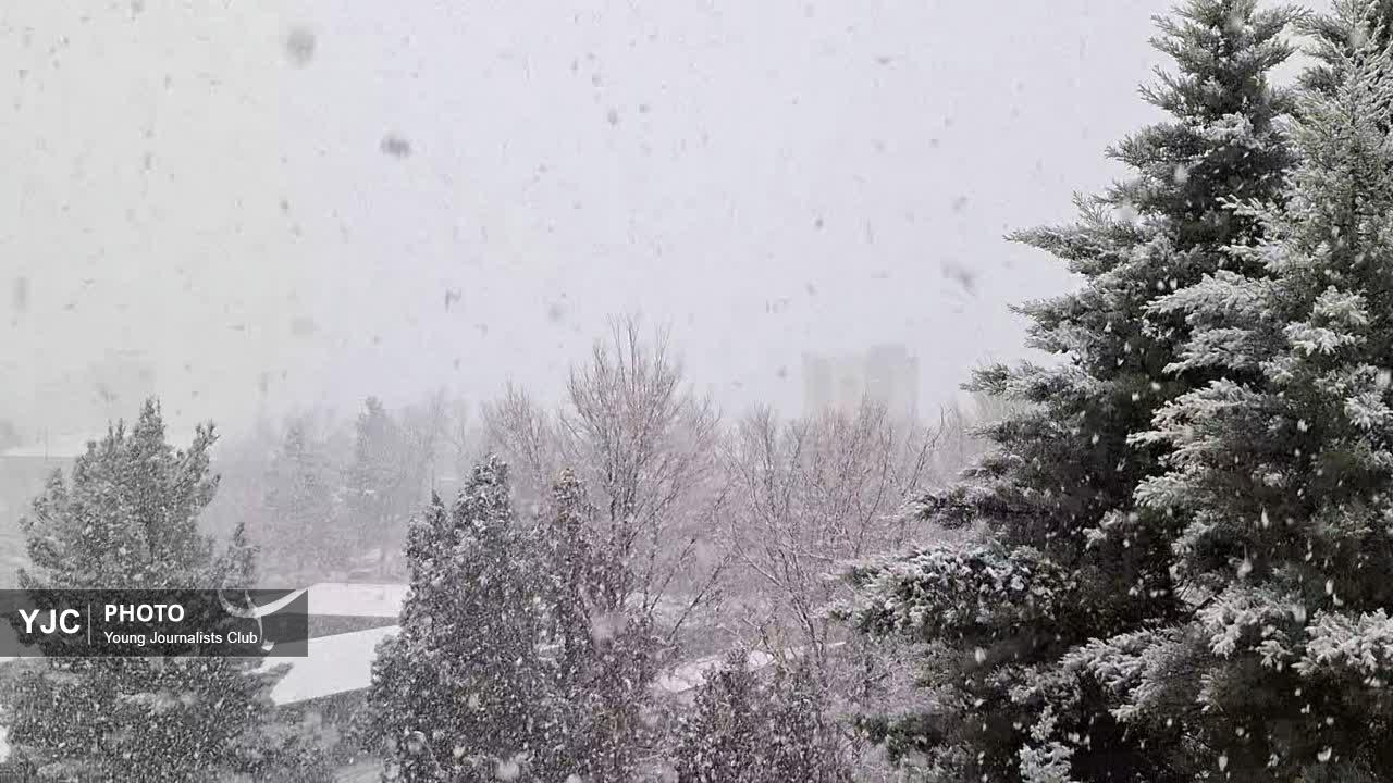 بارش برف، نبض زمستان در بام ایران را به صدا درآورد+فیلم