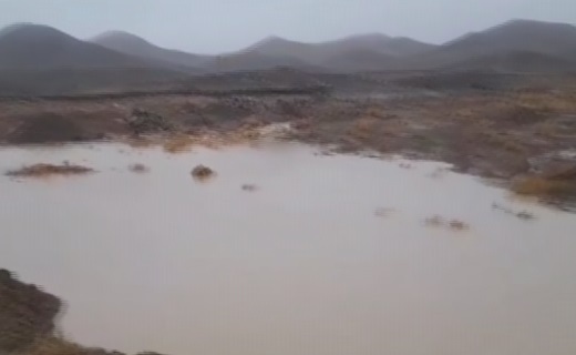 بارش باران