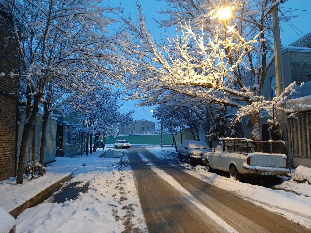 همدان با بارش برف سفیدپوش شد