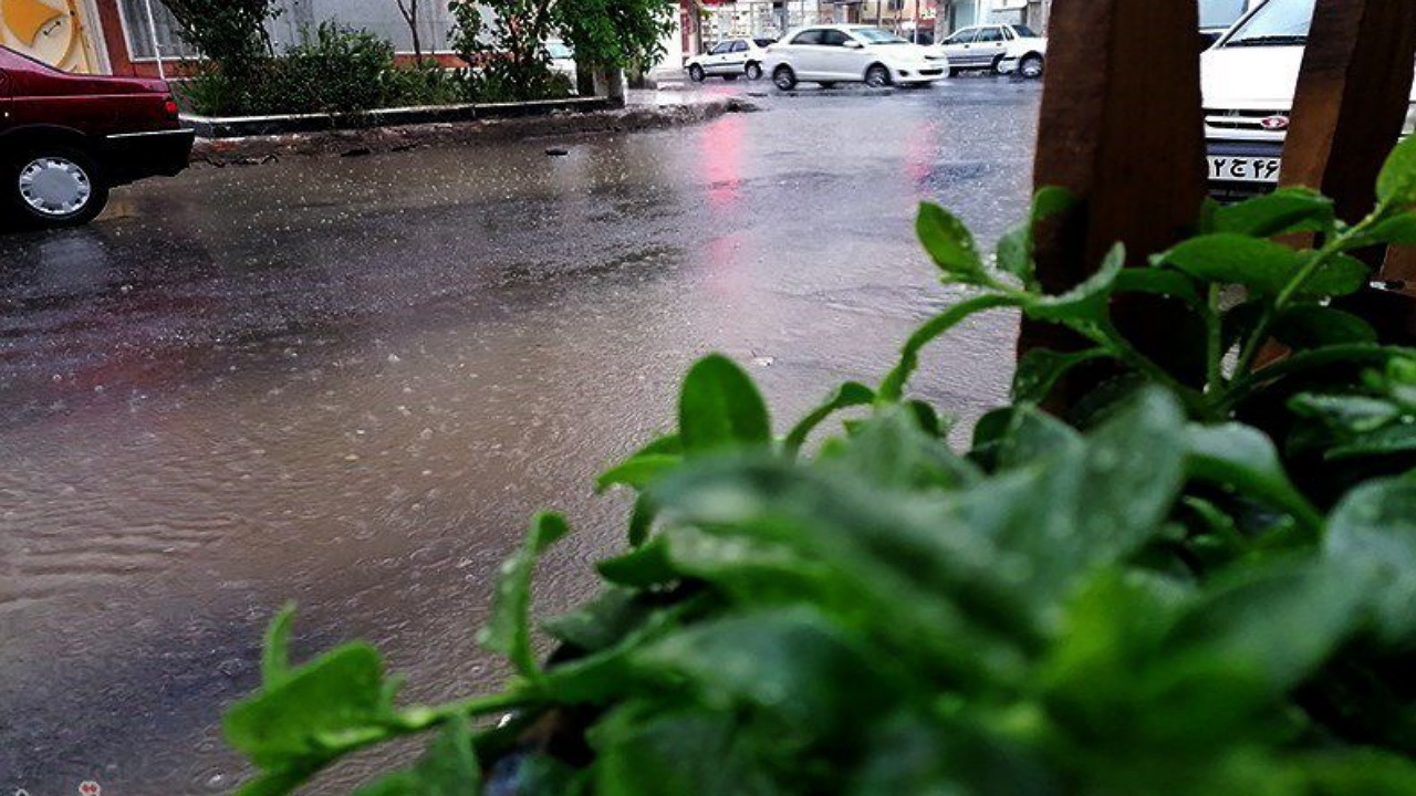 زاهدان زیر باران؛ اوج بارش‌ها در عباس‌آباد سمسور از توابع بزمان با ۲۷.۵ میلی‌متر