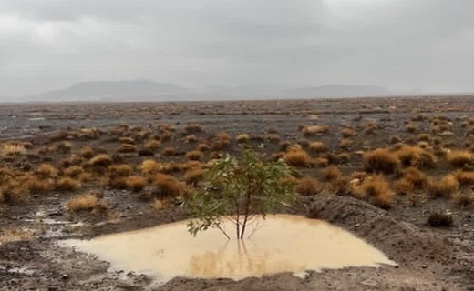 بارش باران در خراسان جنوبی بارش باران در خراسان جنوبی