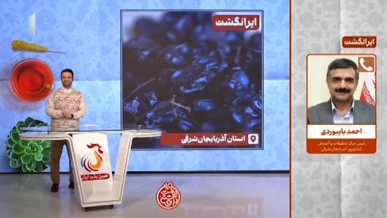 ویژگی‌های فوق العاده زرشک سیاه + فیلم