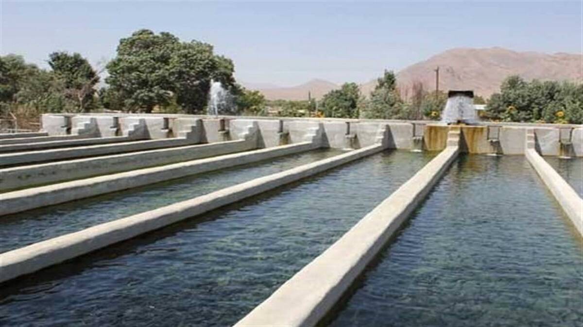 باشگاه خبرنگاران -تولید ۴ هزار تن ماهی سردآبی در قزوین