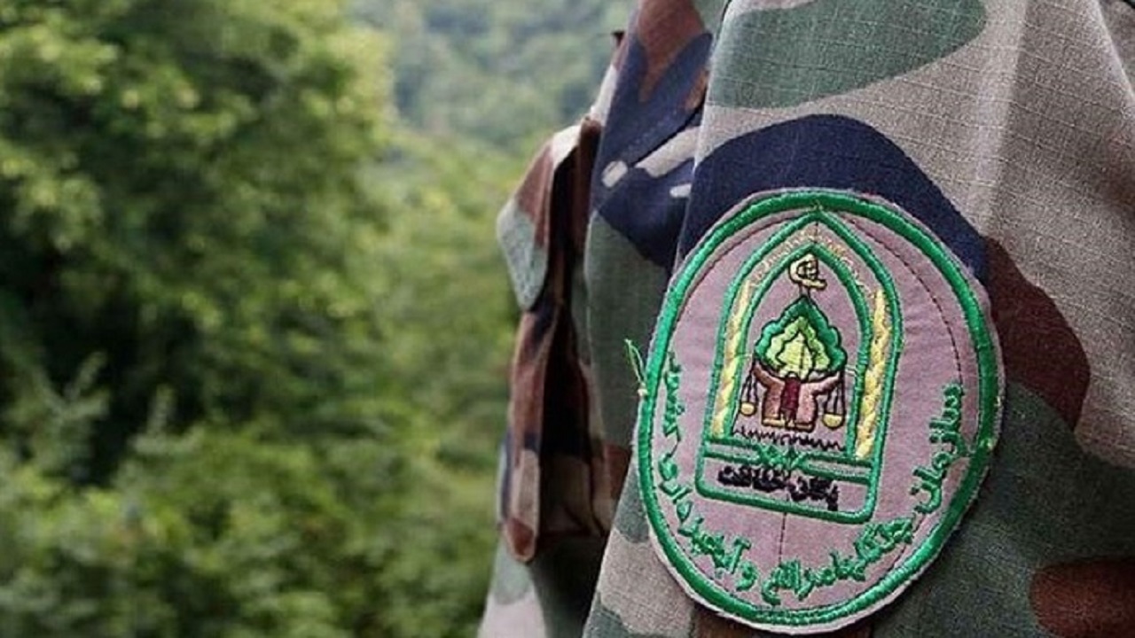 ورود به جنگل‌های سوادکوه ممنوع شد