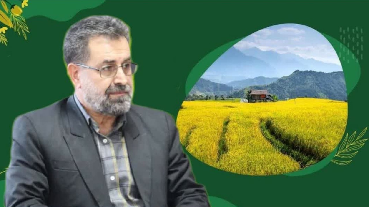 توانمندسازی کشاورزان مازندران؛ اجرای بیش از ۲۶ هزار نفر‌روز آموزش مهارتی