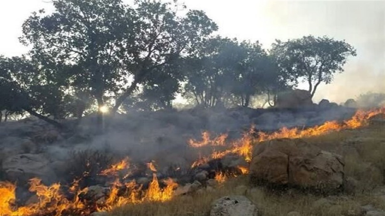 آتش‌افروز هیرکانی دستگیر شد
