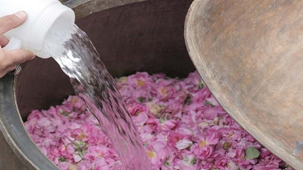 جشنواره گلاب‌گیری بانه ثبت ملی شد