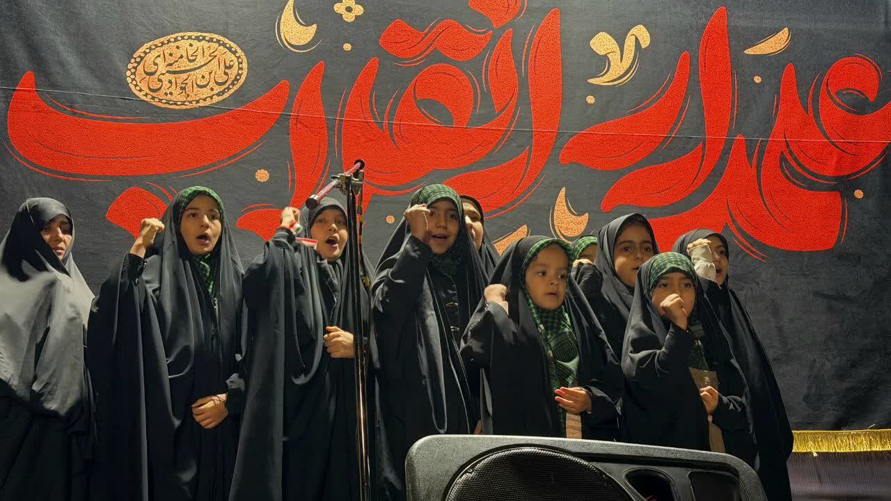 گوشه&zwnj;هایی از وطن دوستی مردم انقلابی شهرری در تجمعات شبانه + عکس