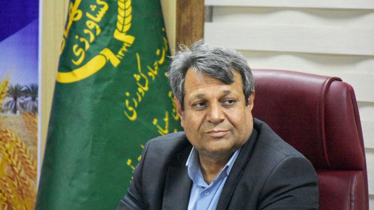 سیستان و بلوچستان در خط مقدم برداشت گندم کشور؛ پیش بینی تولید ۱۱۵ هزار تُن محصول