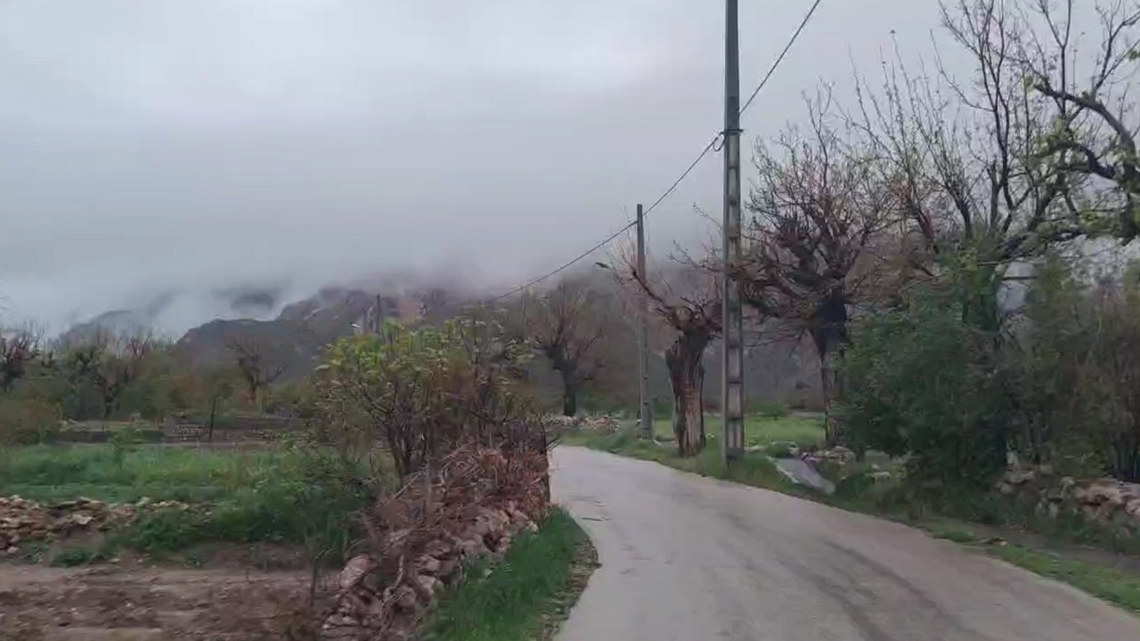 بارش باران و لطافت هوا در خراسان جنوبی + تصاویر