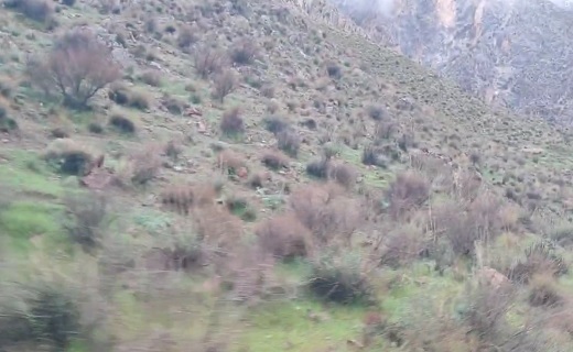 بارش باران در خراسان جنوبی