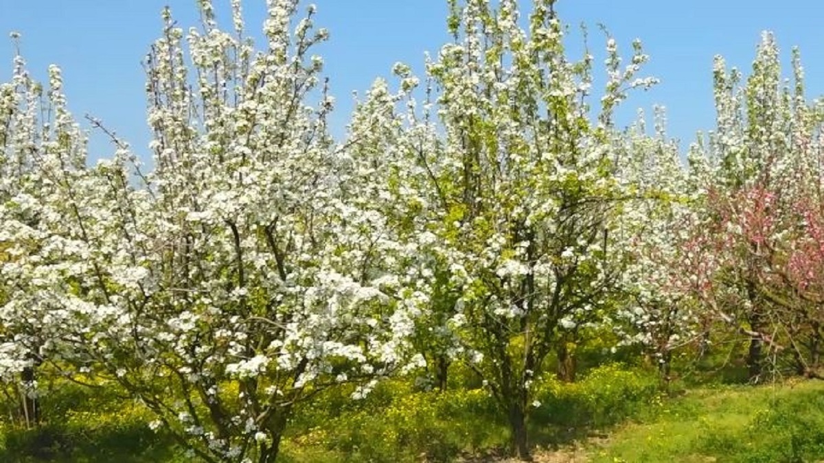 باشگاه خبرنگاران -روند افزایش دما در گلستان در روزهای پیش رو
