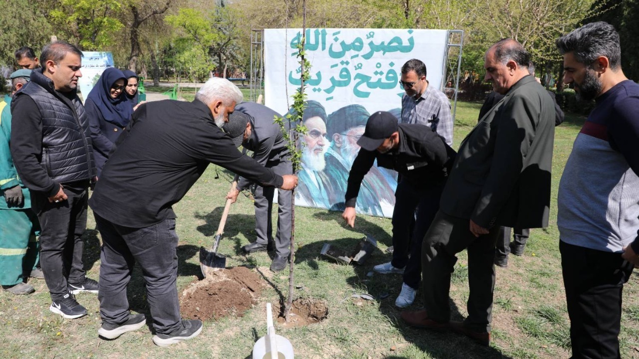 غرس نهال های مثمر و پالم های غول پیکر در جنوبغرب پایتخت