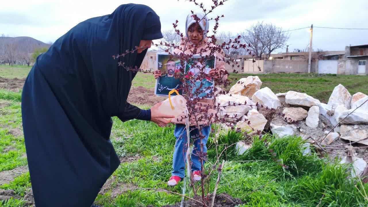 کاشت درخت