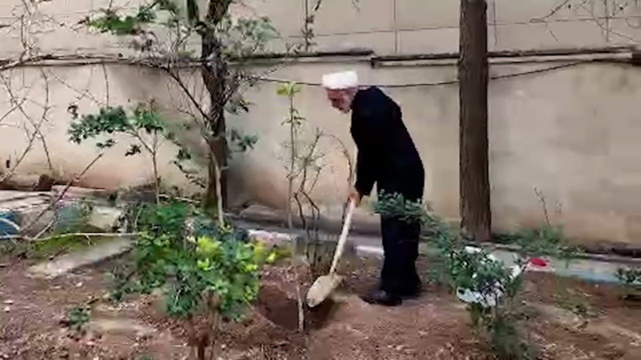 بغض رئیس قوه قضائیه هنگام غرس نهال به یاد رهبر شهید انقلاب + فیلم