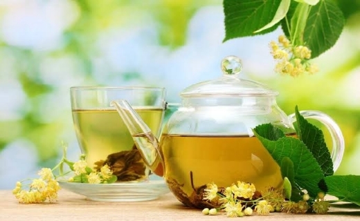 پیچش عطر شکوفه&zwnj;های بهار نارنج در کوچه پس کوچه&zwnj;های گیلان