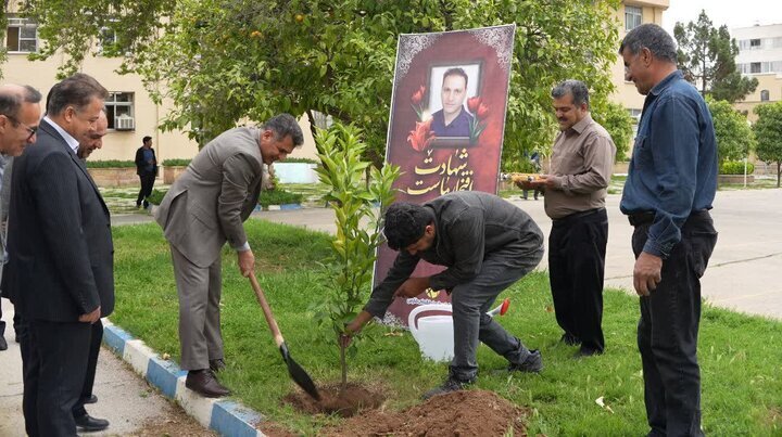 کاشت نهال یادبود شهید محمدباقر محمدی