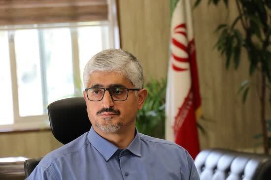 آمادگی کامل زنجیره تأمین گندم و نان در فارس/ تأکید بر پدافند غیرعامل